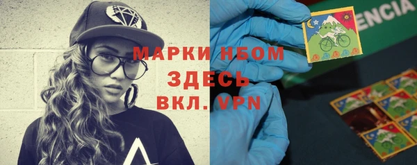 винт Галич