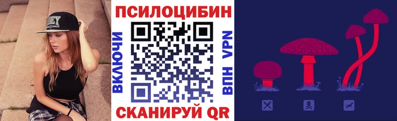 kraken tor  Свободный  Псилоцибиновые грибы мухоморы  даркнет сайт 